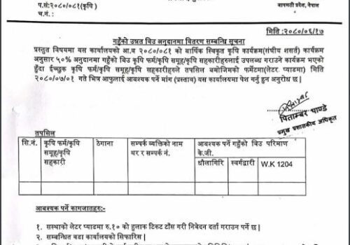 गहुँको उन्नत विउ अनुदानमा वितरण सम्बन्धी  बेलकोटगढी नगरपालिकाको सुचना