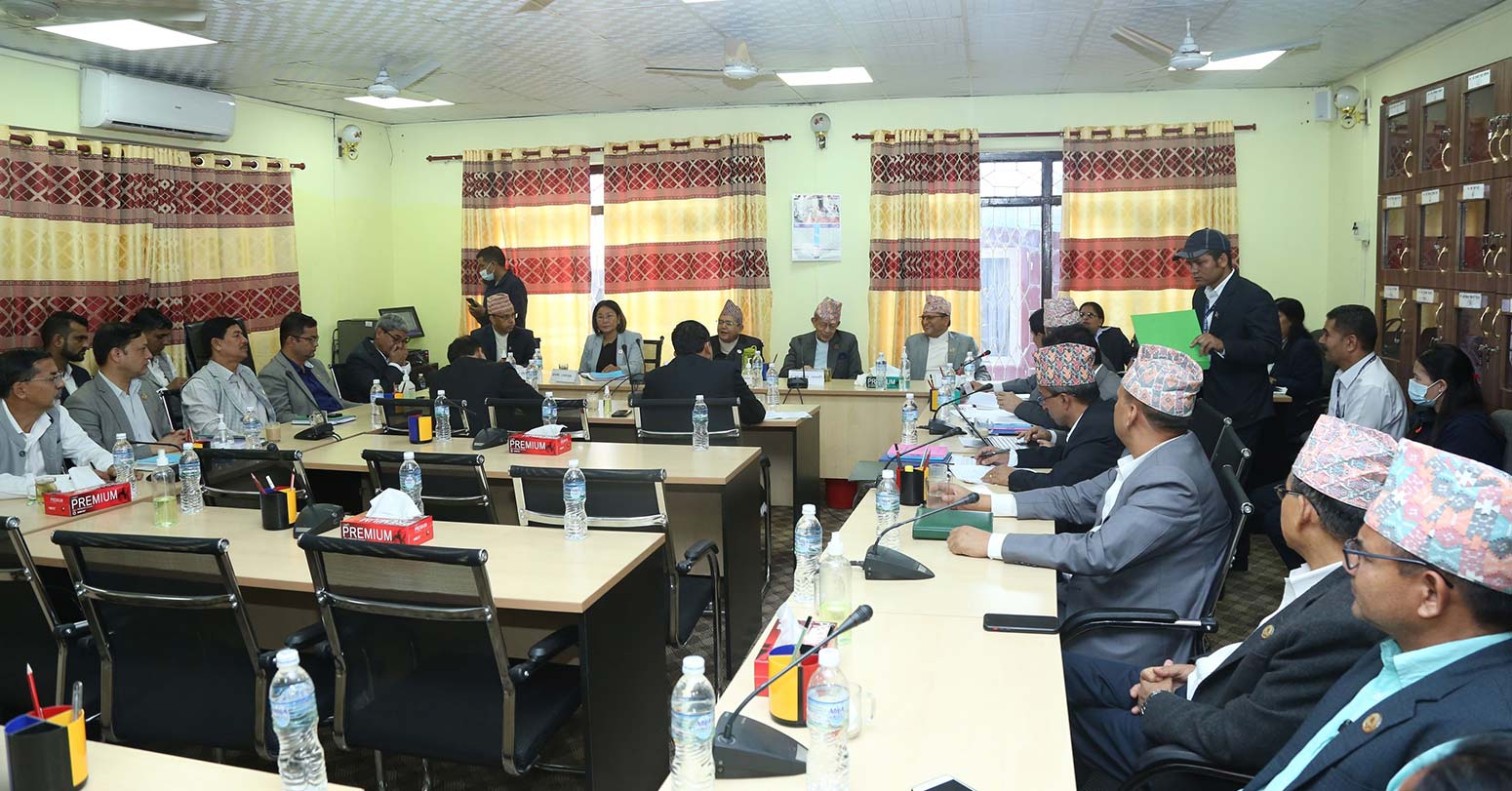 समितिमा विचाराधीन विधेयकको विषयमा सत्तारूढ दलहरूले आ–आफ्नो दलमा छलफल गर्ने