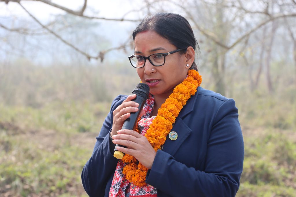 भरतपुरका ४ वटा वडामा ३ किमी मेसजाली निर्माणको कार्य सुरु
