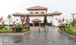 संसदमा सांसदका बेतुकका तर्क, मुटुमै गोलीदेखि बाघ र बिरालोका कुरा