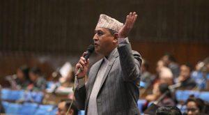 सांसददेखि राष्ट्रपतिसम्मका सल्लाहकार विचौलिया, संविधान र कानुनको उपहास
