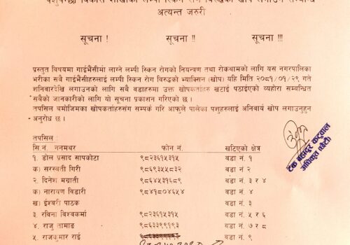 लम्फी स्किन  रोगविरूद्धको खोप लगाउने सम्बन्धी धुनिवेशी नगरपालिकाको सूचना
