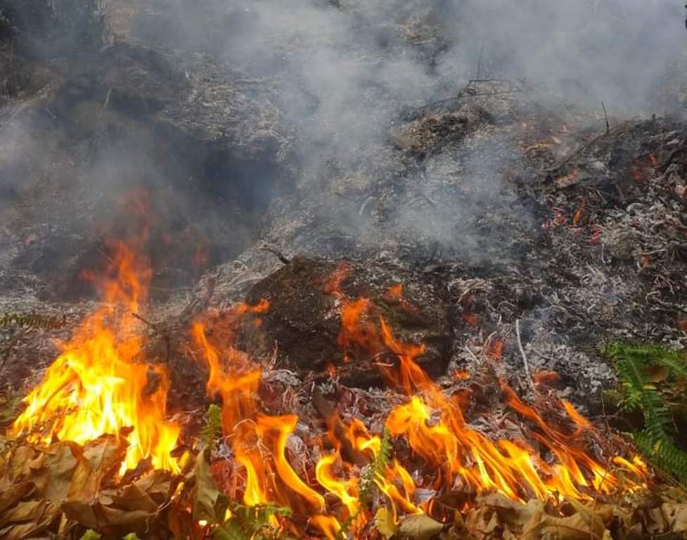 ओखलढुङ्गामा आगोले जलेर आमाछोराको मृत्यु