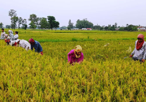 बजेट भाषण : आगामी १० वर्षलाई कृषिमा लगानी दशकको घोषणा गरिने