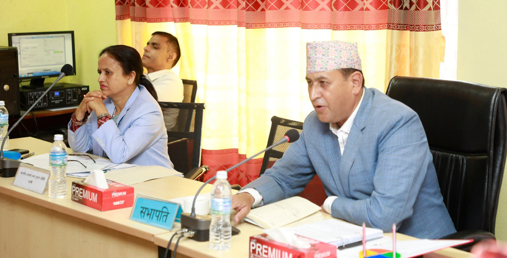 संवैधानिक परिषद्सम्बन्धी विधेयक समितिबाट पारित