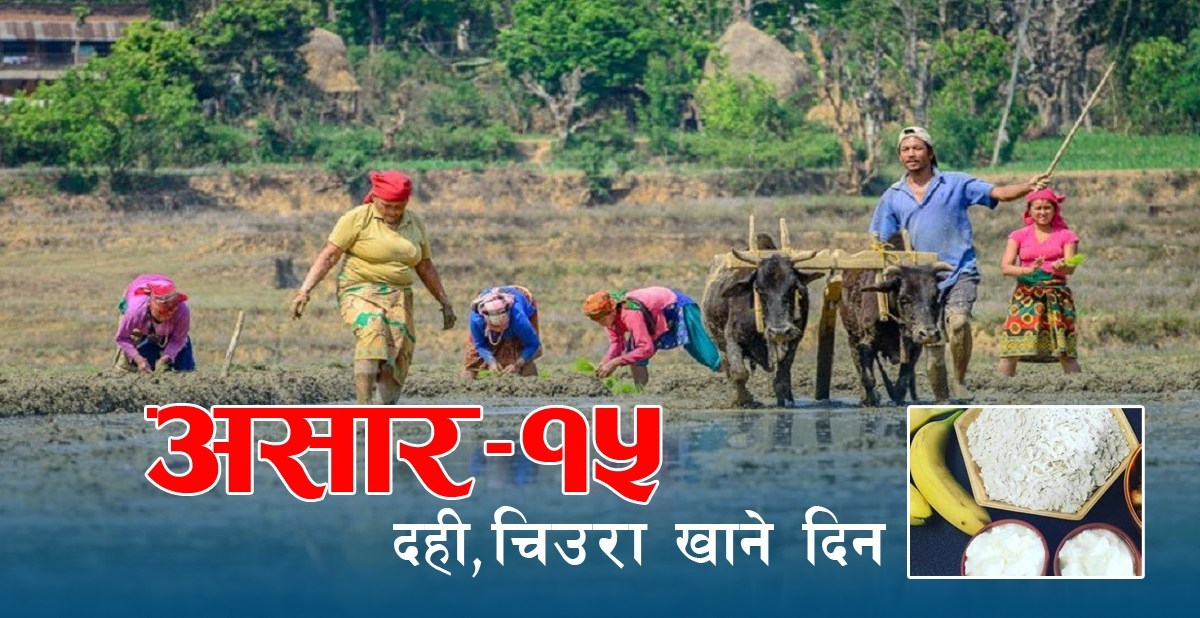 आज असार १५, दही-चिउरा खाएर मनाइँदै