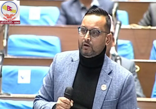 टिकटक प्रतिबन्ध हटाउन संसदमा रास्वपाको माग
