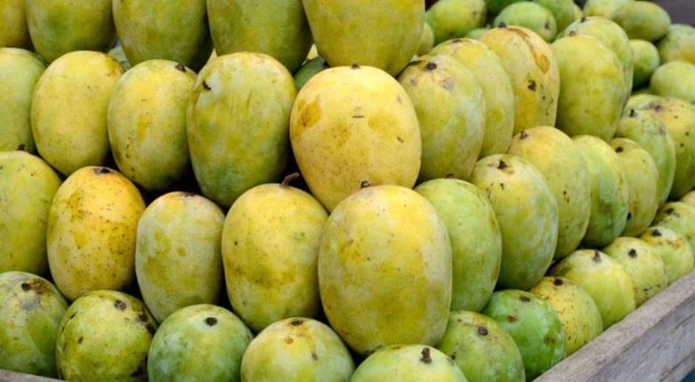 कार्वाइड प्रयोग गरिएका फलफूल खरिदबिक्री नगर्न विभागको आग्रह