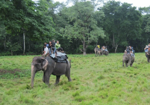 चितवन राष्ट्रिय निकुञ्जमा आजदेखि पर्यटकीय गतिविधि बन्द