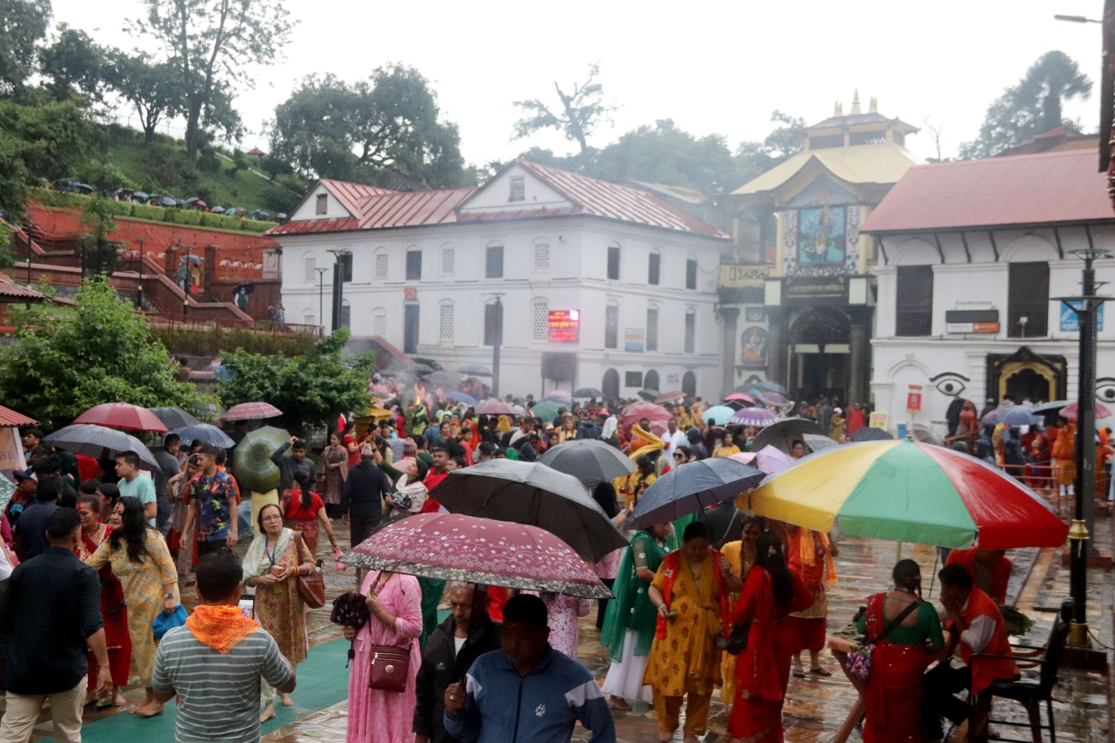 साउनको पहिलो सोमबार पशुपतिनाथमा घुइँचो : दर्शनार्थीका लागि तीन लाइन