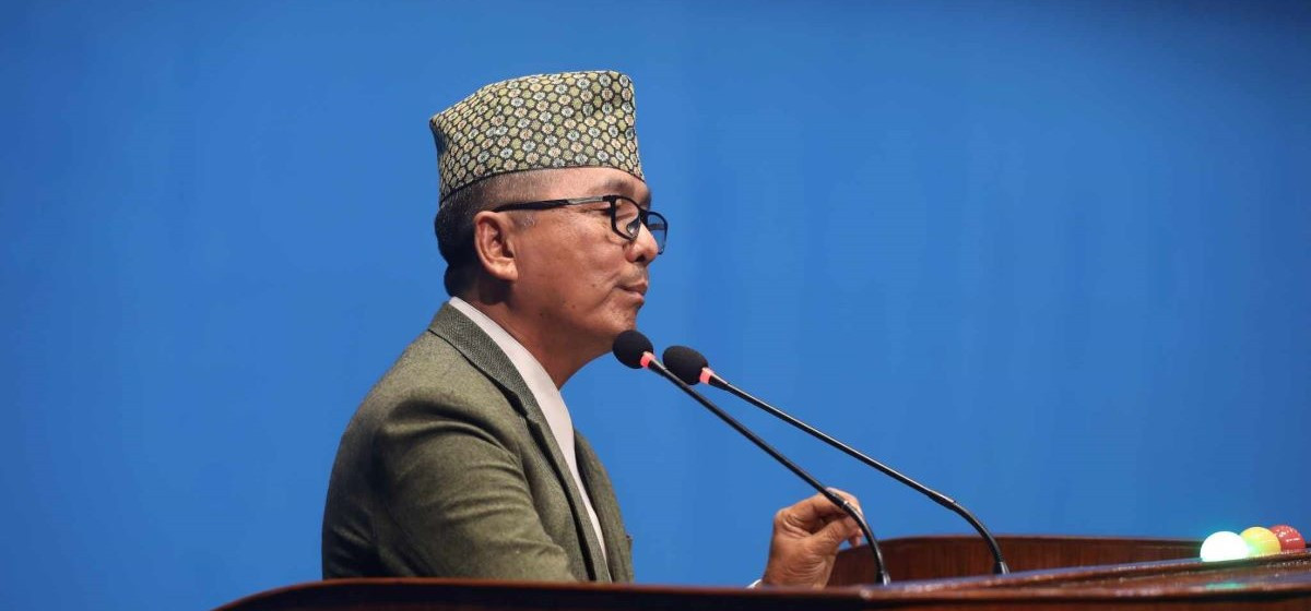सभामुखले माइक काटेपछि लिङदेनले भने–सांसदको विशेष अधिकारलाई नियन्त्रण गर्ने कुरा मान्य हुँदैन