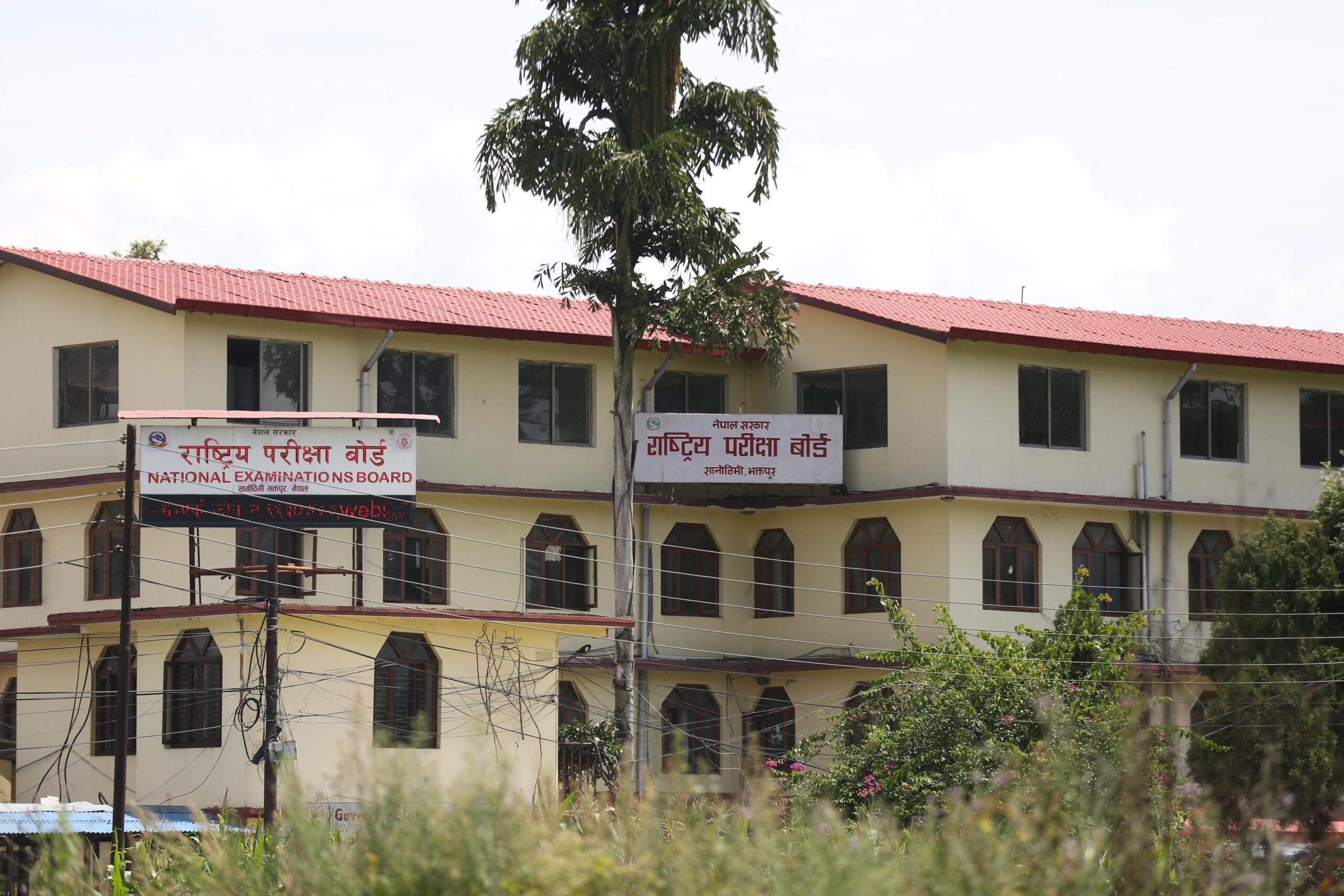 कक्षा १२ को नतिजा सार्वजनिक, नियमिततर्फ ५२.९१ प्रतिशत उत्तीर्ण