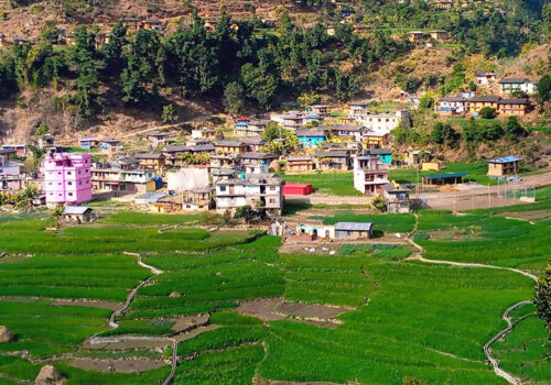 रुकुम पश्चिममा बरुण धितालको घर भत्कँदा २२ बाख्रा मरे