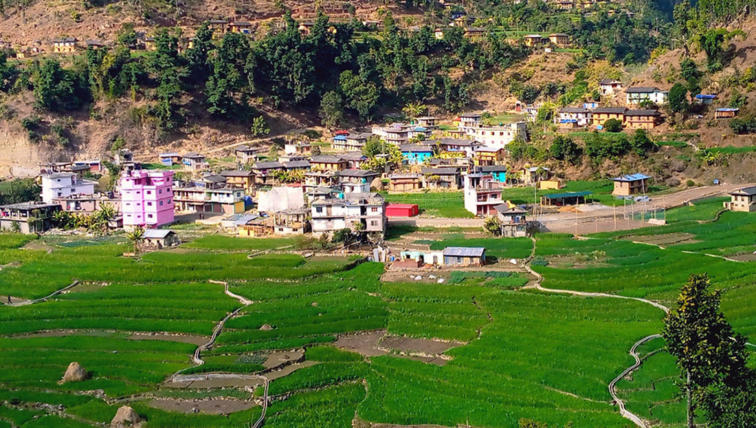 रुकुम पश्चिममा बरुण धितालको घर भत्कँदा २२ बाख्रा मरे