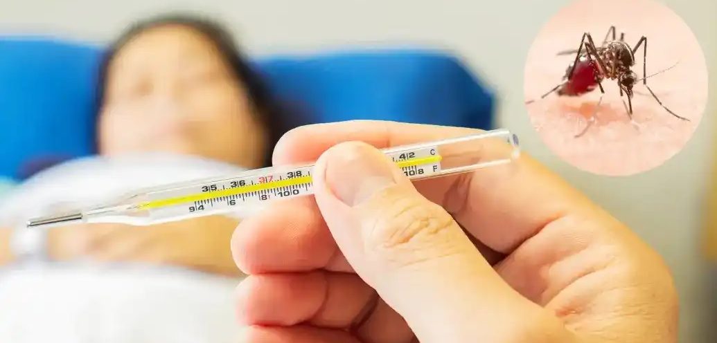 बङ्गलादेशमा डेंगुका कारण २६४ जनाको मृत्यु, बिरामीको सङ्ख्या ५० हजार नाघ्यो