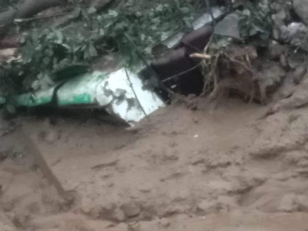 बाढी, पहिरो र डुबानबाट मृत्यु हुनेको सङ्ख्या ८७ पुग्यो