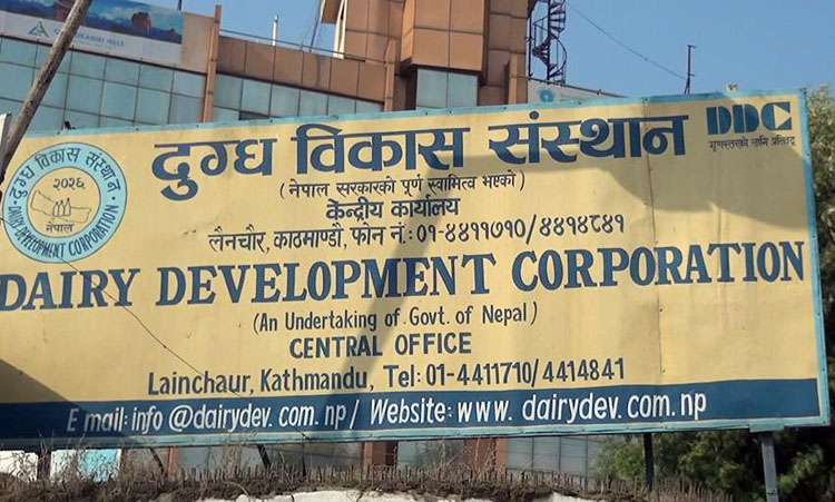 किसानलाई पैसा तिर्न नसक्ने डिडिसीलाई सरकारले दियो ६० करोड ऋण