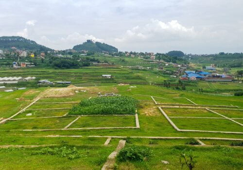 सबै ठाउँमा खुल्यो जग्गाको कित्ताकाट