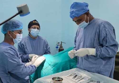तिलगंगामा एस्थेटिक अकुलोप्लाष्टिबारे प्रयोगात्मक कार्यशाला सम्पन्न