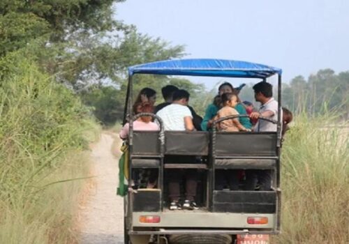 फूलपातीदेखि चितवन निकुञ्जभित्र जिप सफारी