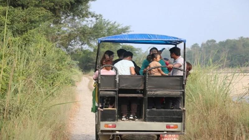 फूलपातीदेखि चितवन निकुञ्जभित्र जिप सफारी