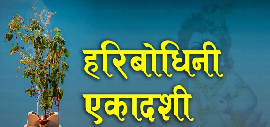 तुलसी र दामोदरको विवाह गरी हरिबोधिनी एकादशी पर्व मनाइँदै