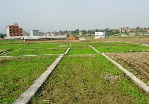घर–जग्गाको कारोबारमा आएन अपेक्षित सुधार, राजस्व सङ्कलनमा गिरावट