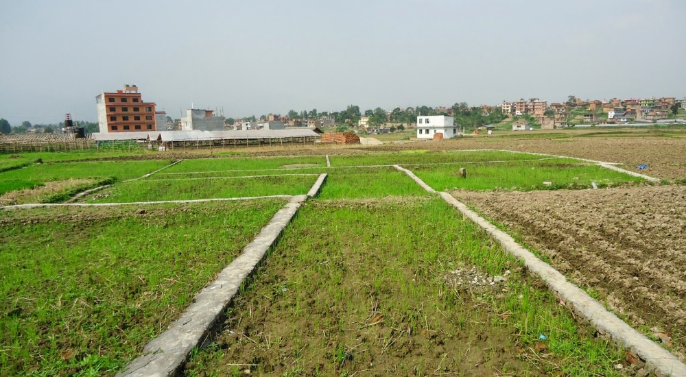 घर–जग्गाको कारोबारमा आएन अपेक्षित सुधार, राजस्व सङ्कलनमा गिरावट
