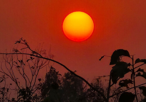 आज पौष कृष्णपक्ष सप्तमी तिथि, सूर्यदेवको विशेष पूजा आराधना गरिंदै