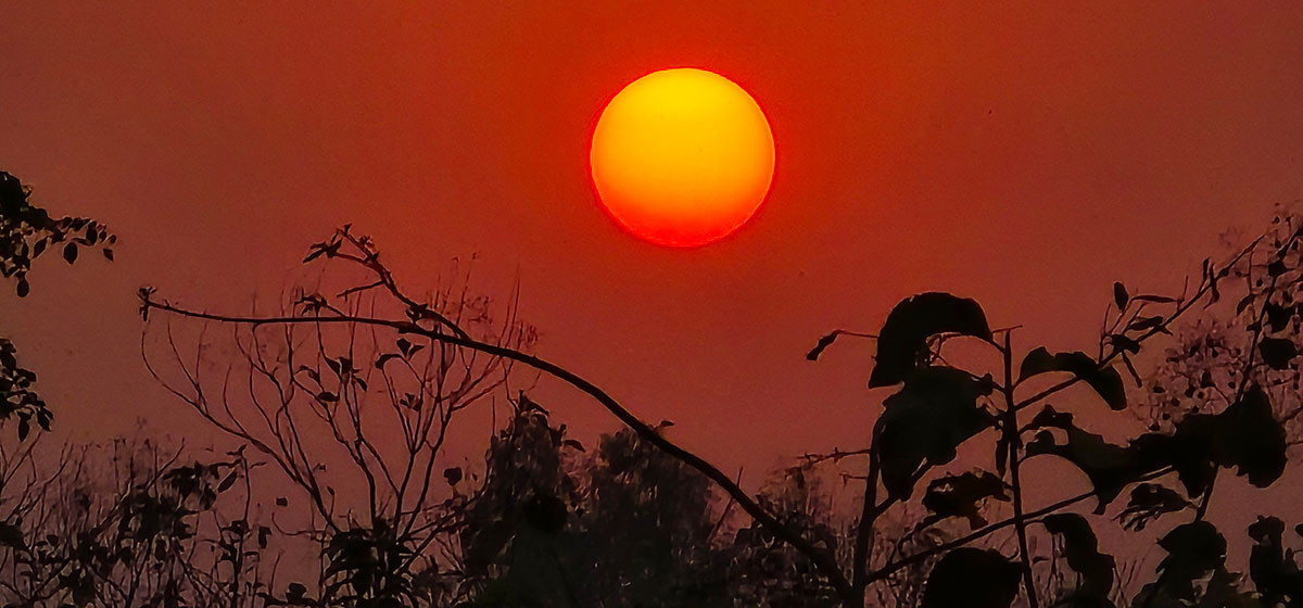 आज पौष कृष्णपक्ष सप्तमी तिथि, सूर्यदेवको विशेष पूजा आराधना गरिंदै