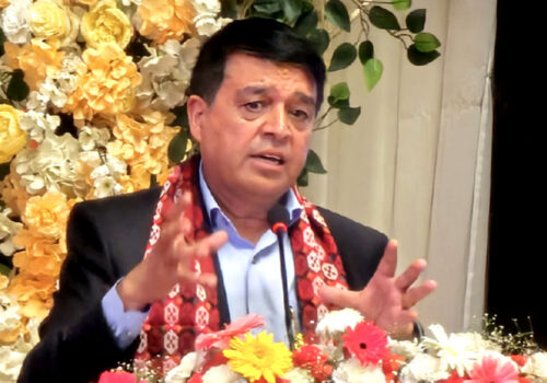 ‘सरकारले निजी क्षेत्रका व्यवसायीलाई प्रोत्साहन गर्दै अनुदान बढाउनुपर्छ’ : अध्यक्ष ढकाल