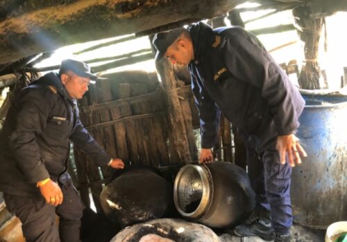 पर्सामा घरेलु मदिरा उत्पादन गर्ने अवैध रक्सी भठ्ठीहरुलाइ नष्ट गर्ने अभियान फेरि सुरु