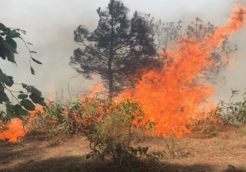 देशभर आगलागी र डढेलोका घटनामा बृद्धि, सावधानी अपनाउन आग्रह
