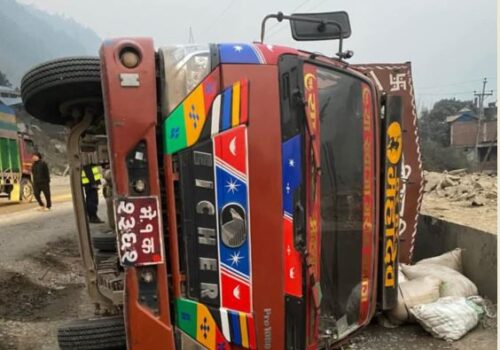 चितवनमा खसीबोका बोकेको ट्रक पल्टियो, १९ वटा चौपाया मरे