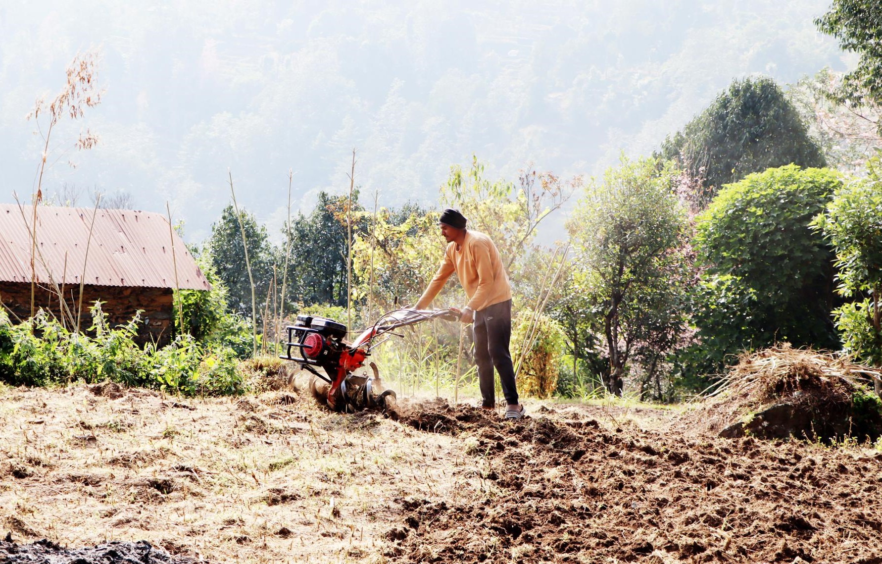कृषिमा यान्त्रिकीकरणले व्यावसायिक खेती गर्ने बढ्दै