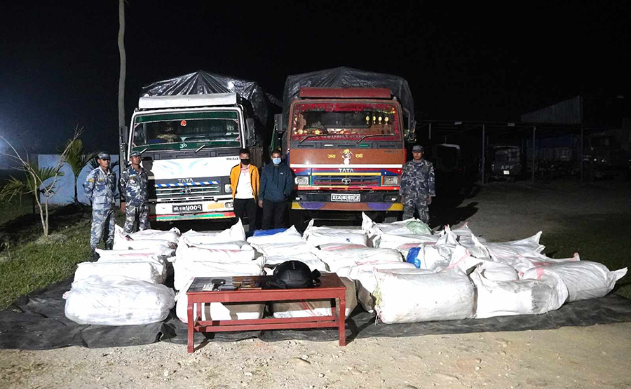 झापामा १६३६ किलो गाँजासहित दुई ट्रक नियन्त्रणमा, दुई युवक पक्राउ