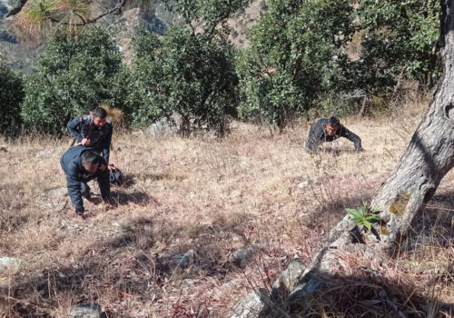 सापटी दिएको ४० हजार रुपैयाँ फिर्ता नदिँदा गोली हानी हत्या, दाजु भाइबिच बिहानै परेको थियो झगडा !