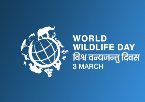 वन्यजन्तु संरक्षणमा जोड दिँदै विश्वभर आज विश्व वन्यजन्तु दिवस मनाइँदै