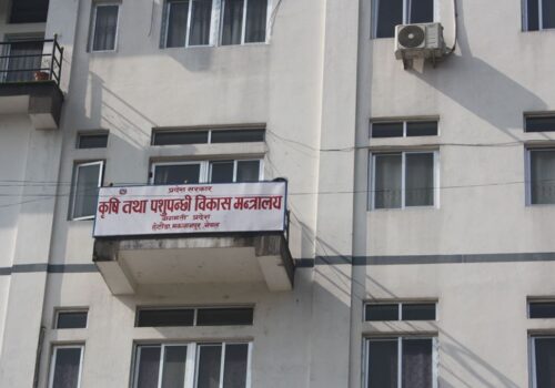 थानाभर्‍याङमा कृषि थोक बजार चलाउने तयारी