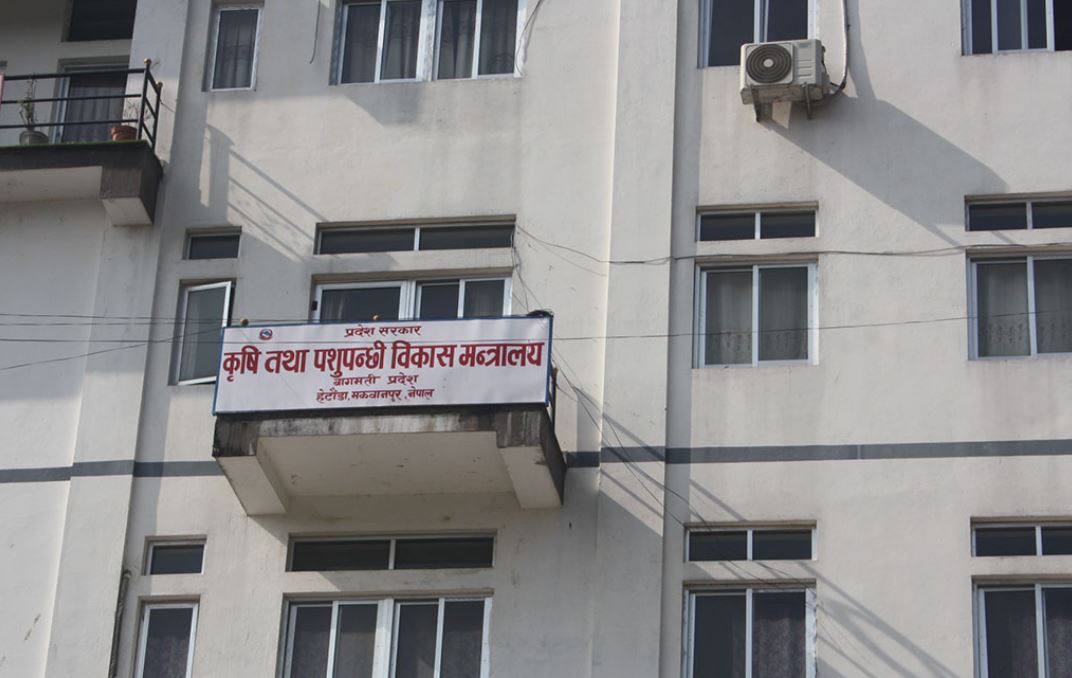 थानाभर्‍याङमा कृषि थोक बजार चलाउने तयारी
