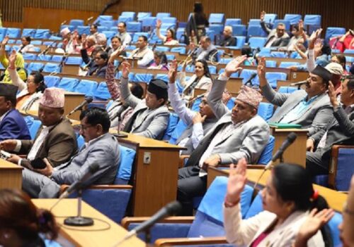 सरकारको वार्षिक नीति तथा कार्यक्रम प्रतिनिधिसभाबाट पारित