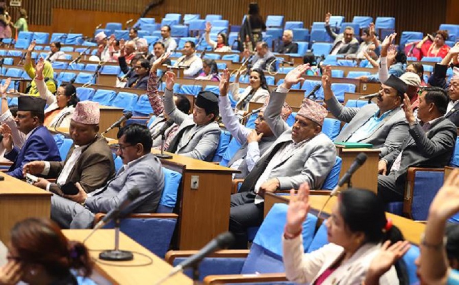 सरकारको वार्षिक नीति तथा कार्यक्रम प्रतिनिधिसभाबाट पारित